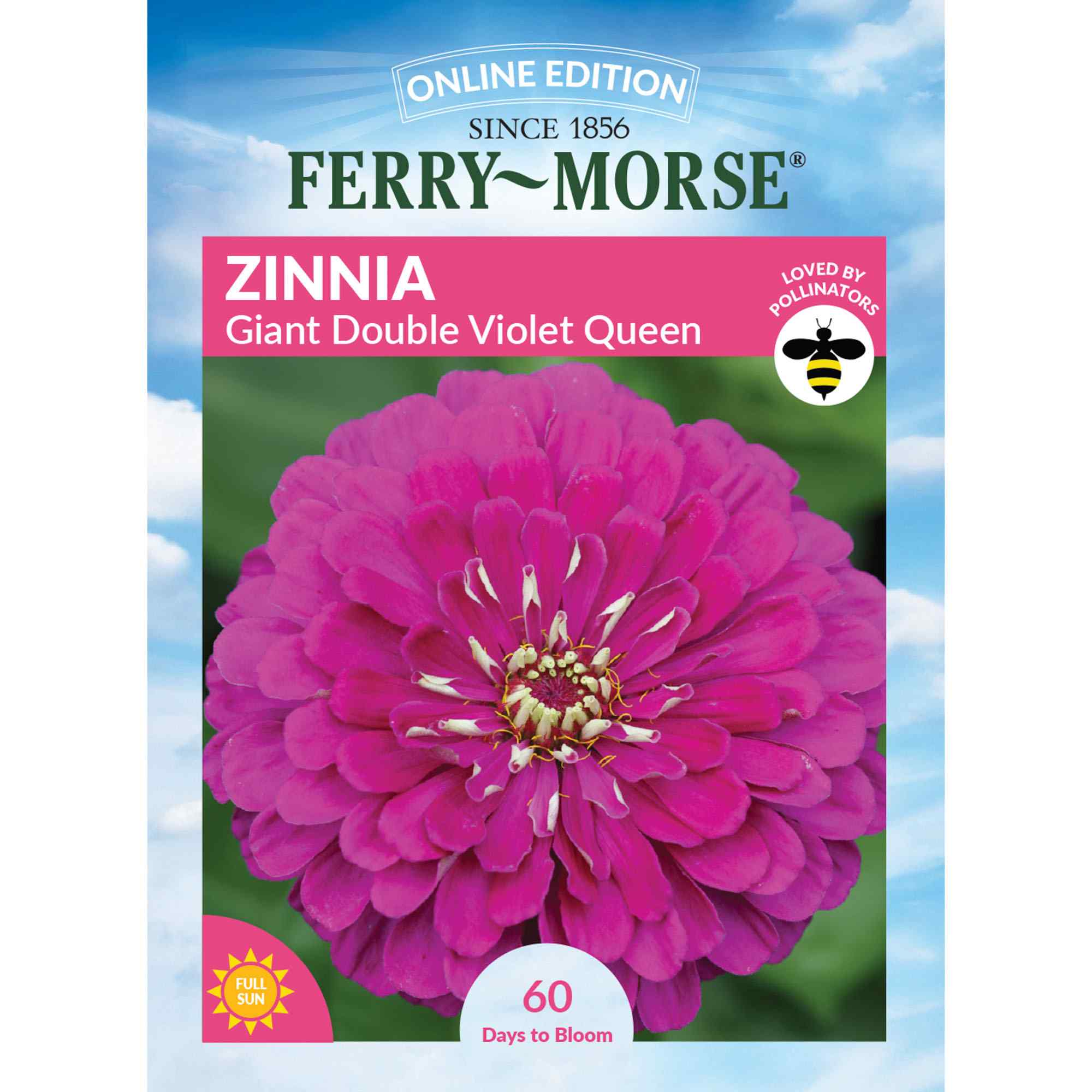Zinnia giant double violet queen front of packaging
